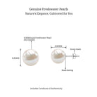 Arisha Jewels-Simple Freshwater Pearl Solitaire Stud Earrings